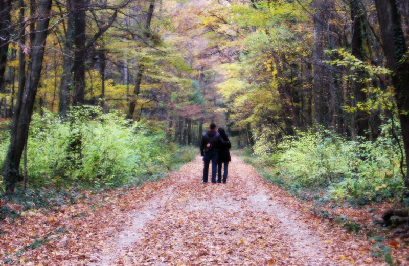 Couple at Big Trees Real Estate, Inc.