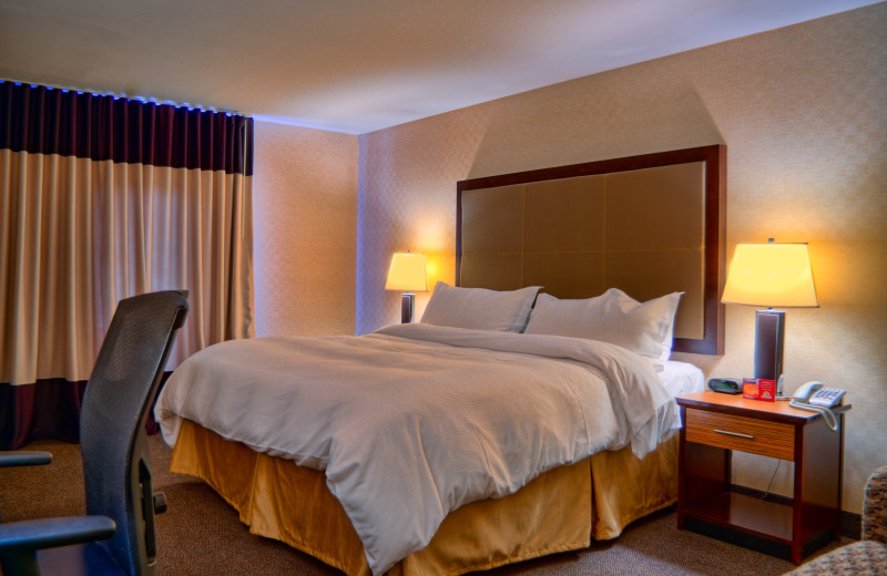 Guest room at Ascend Hotel Collection-The Woodlands Inn.