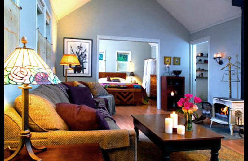 Cabin interior at WildSpring Guest Habitat.