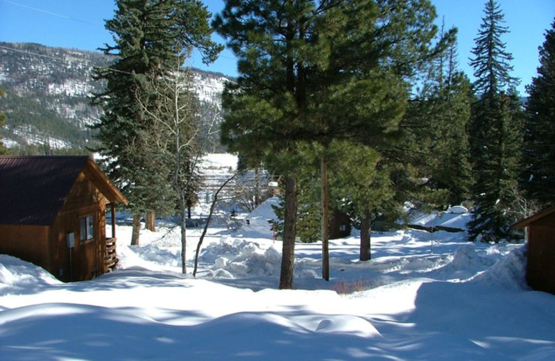 Winter scene at Lone Wolf Cabins and Getaway.