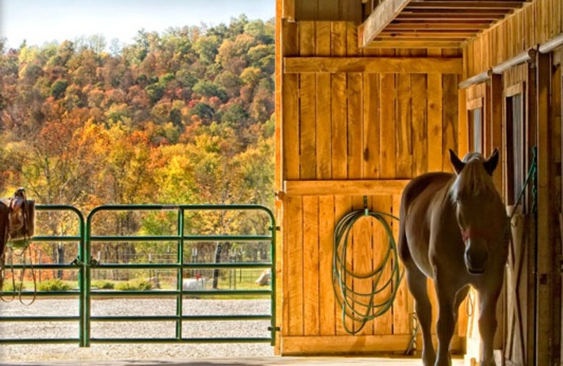 Stables at French Lick Resort.