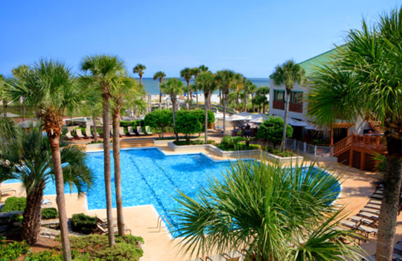 Pool View at The Westin Hilton