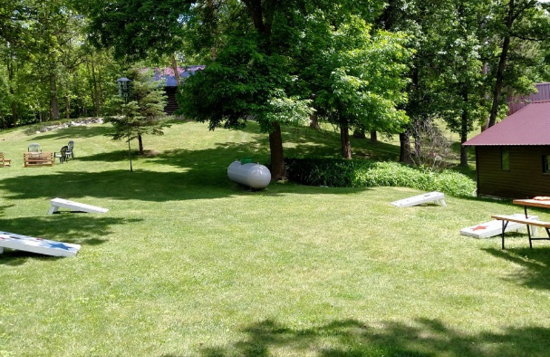 Grounds at Whaley's Resort & Campground.