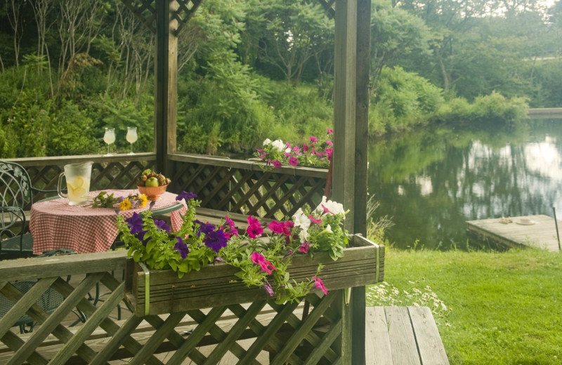 Gazebo at Rabbit Hill Inn.