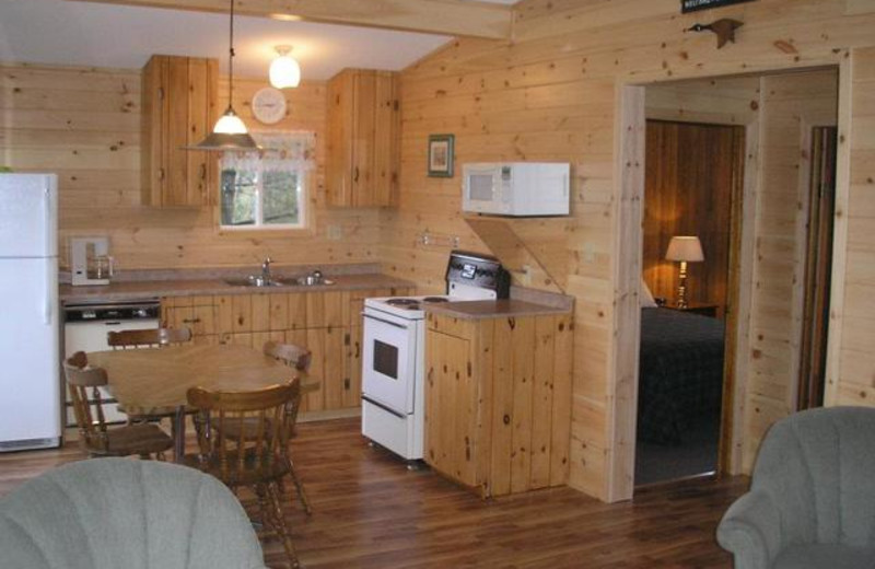 Cabin kitchen at Pleasant Cove Resort.