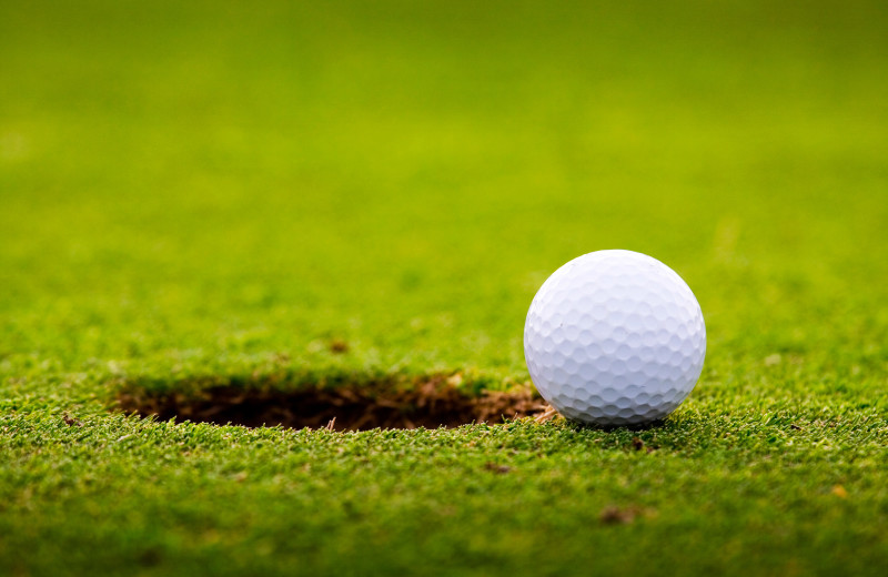 Golf course at Bear Country Property Management Ltd.