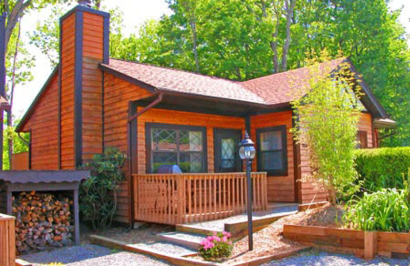 Cabin at Alpine Village Resort