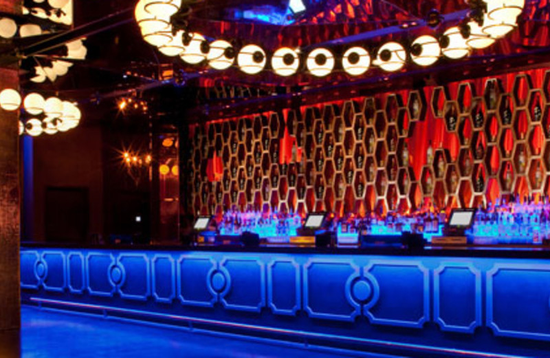 hard rock casino near gay bars vegas