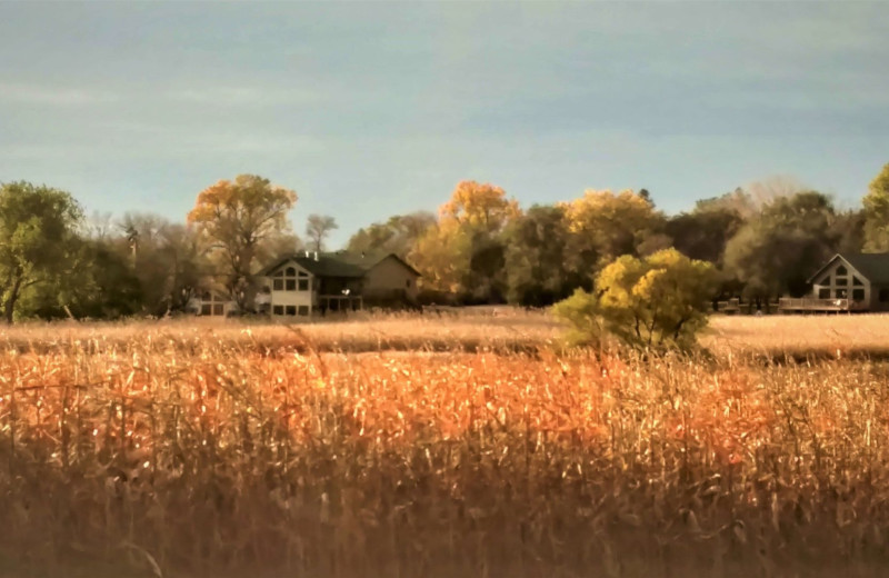 Exterior view of Double P Ranch.