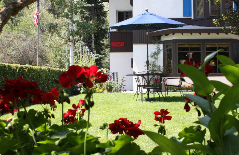 Patio at St. Moritz Lodge & Condominiums.