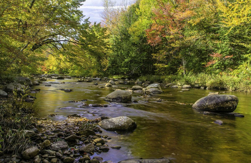 Stream near Top Notch Inn.