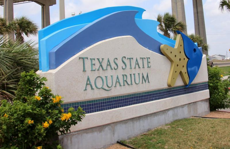 Aquarium near The Lighthouse Inn at Aransas Bay.