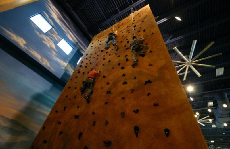 Rock climbing wall at Kalahari Waterpark Resort Convention Center.