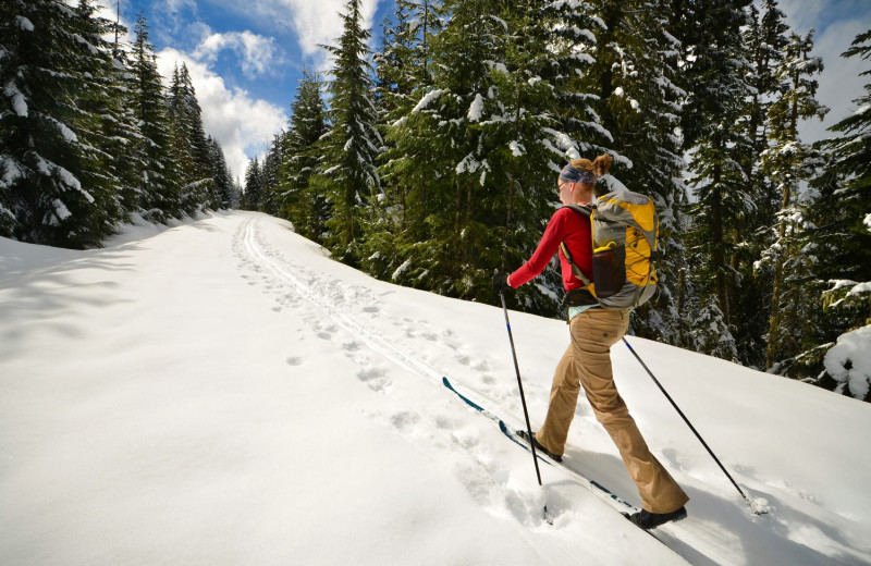 Skiing near Grizzly Jacks Grand Bear Resort.