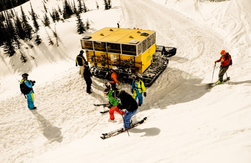 Ski at Red Tree Lodge.