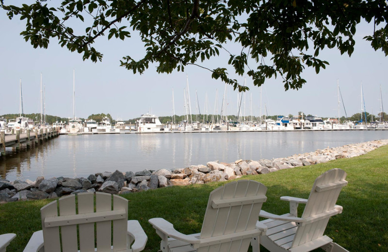 Shoreline at Osprey Point.