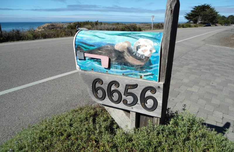 View from at Sea Otter Inn.