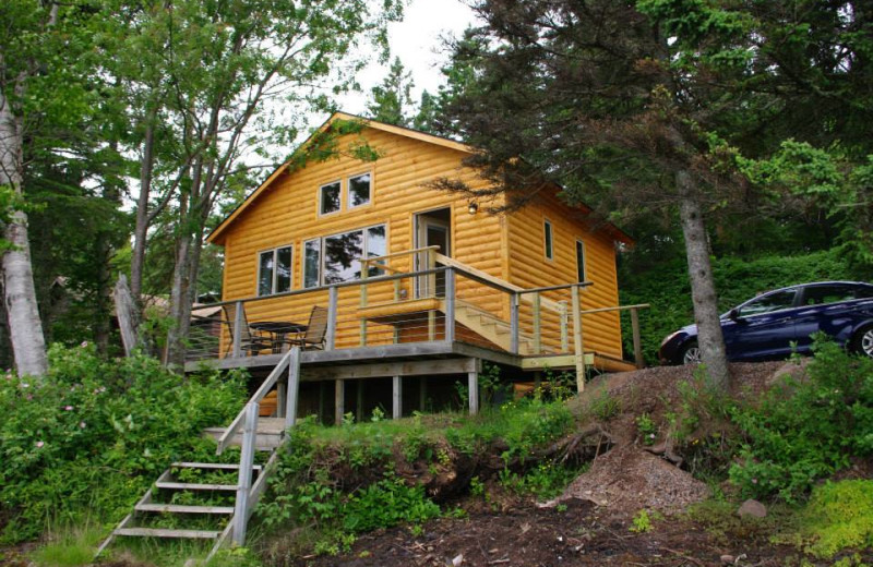 Cabin exterior view of Solbakken Resort.