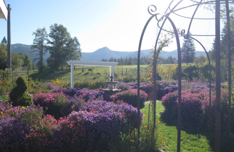 Garden at Mt Hood Bed 