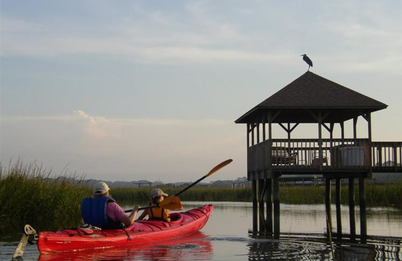 Kayak tours at The King and Prince Beach Resort.