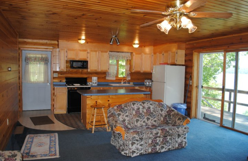 Cabin kitchen at Forest Point Resort & Golf.