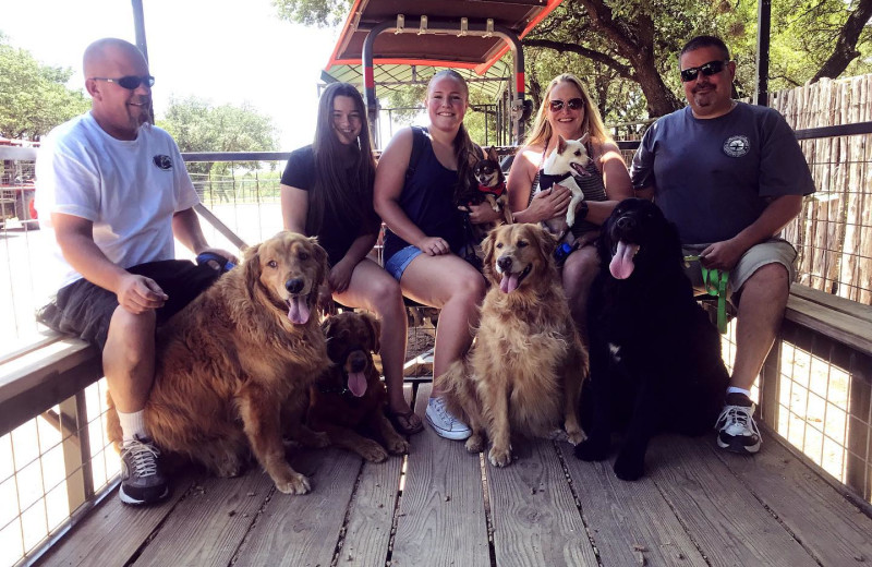 Pets welcome at The Exotic Resort Zoo.