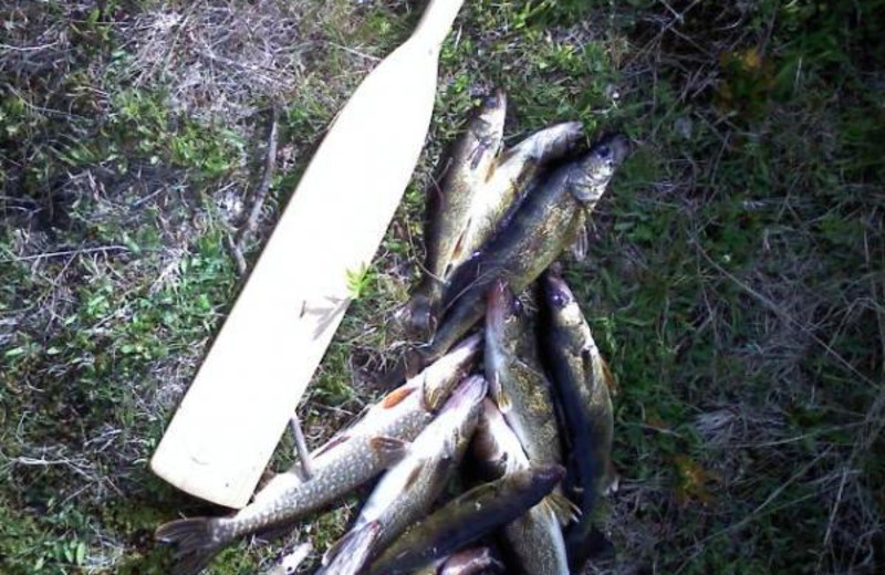 Fishing at Lady Bug Lodge