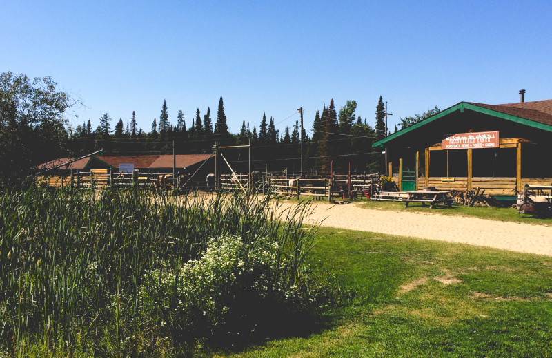 Stables at Falcon Beach Ranch.