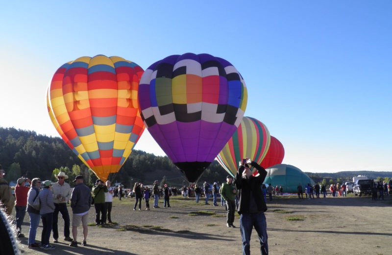 Hot air balloons at Sunetha Property Management.