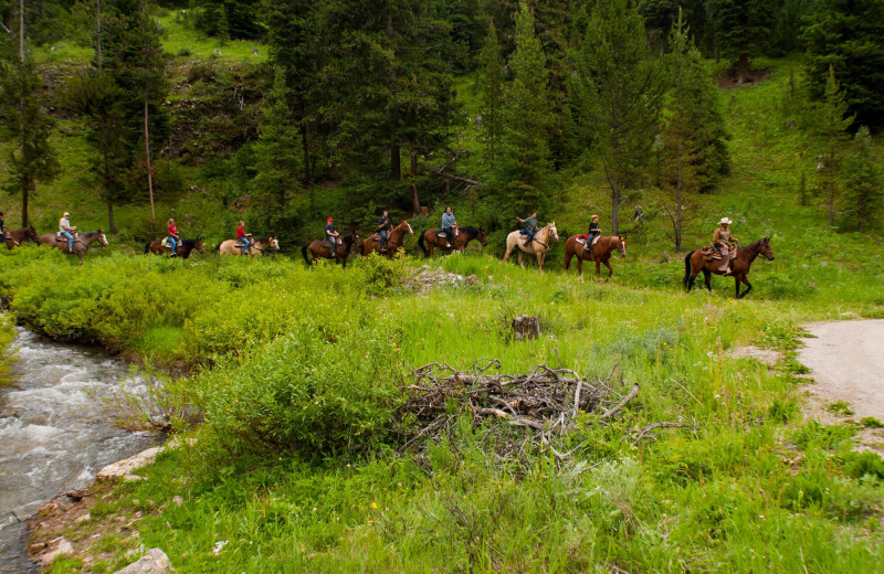 Horseback riding at 320 Guest Ranch.