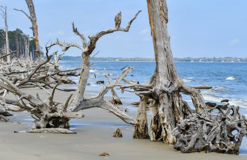 Beach at Westin Jekyll Island