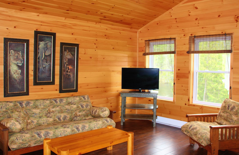 Cabin living room at Fernleigh Lodge.