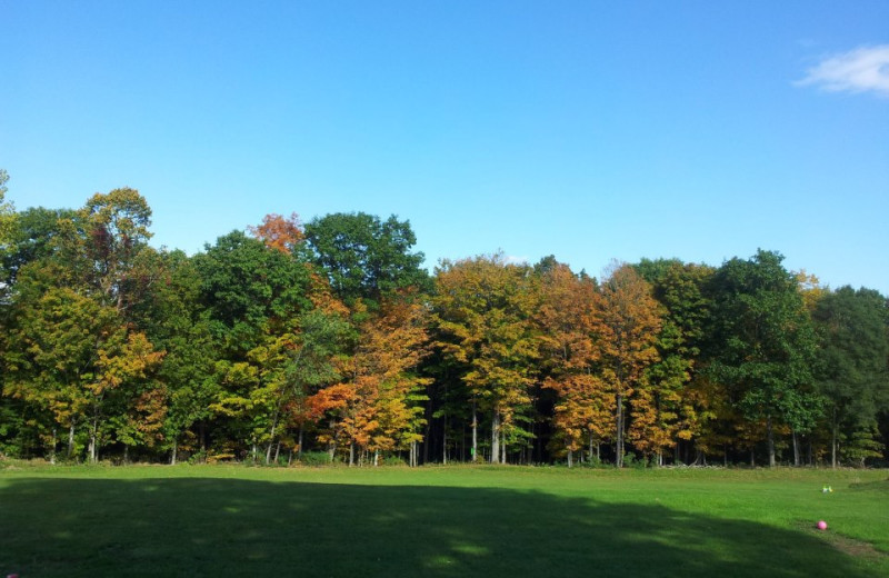 Grounds at Gavin's Irish Country Inn.
