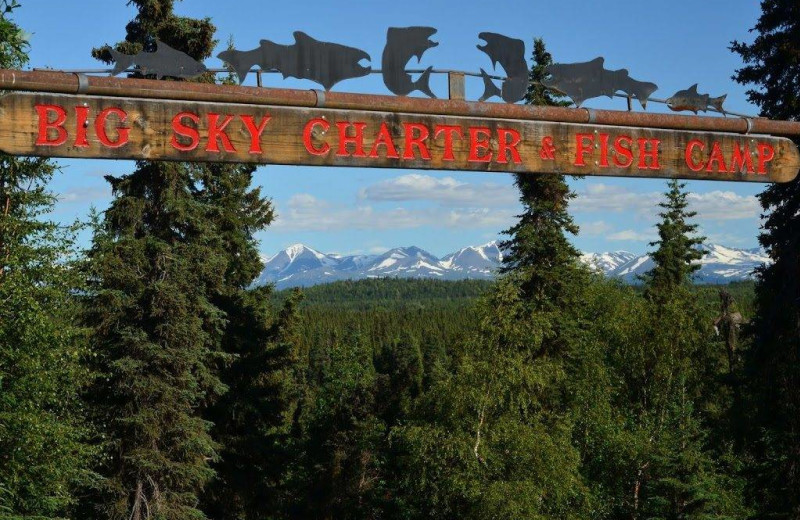 Welcome to Big Sky Charter & Fishcamp.