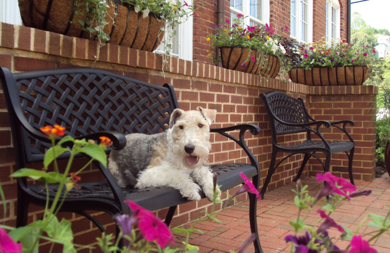 Buster Brown, greeter, outside Craddock Terry Hotel.