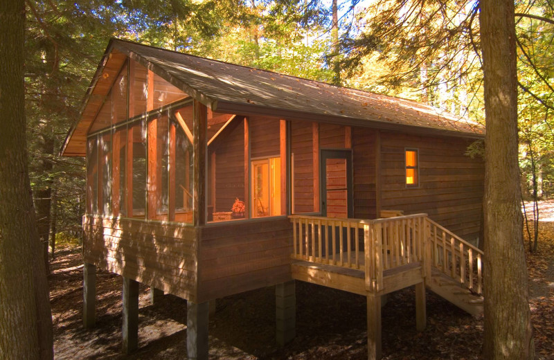 Cabin exterior at Opossum Creek Retreat.