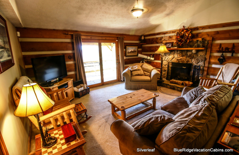 Cabin living room at Blue Ridge Vacation Cabins. 