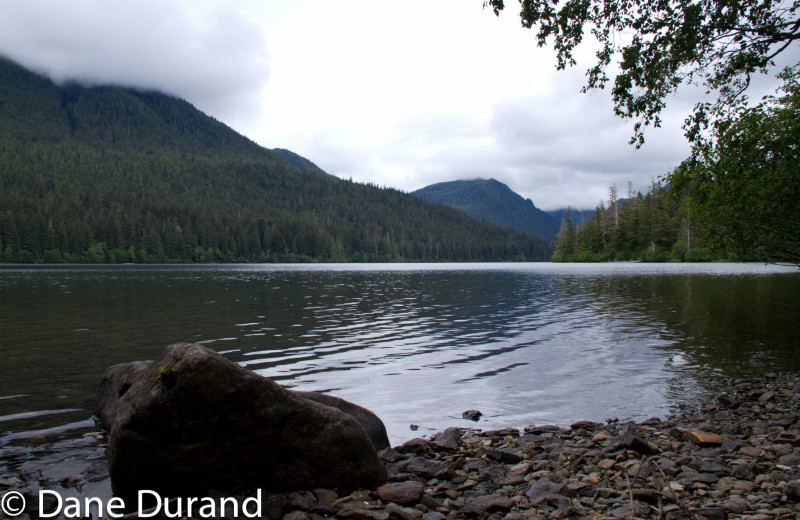 Scenic view at Favorite Bay Lodge.