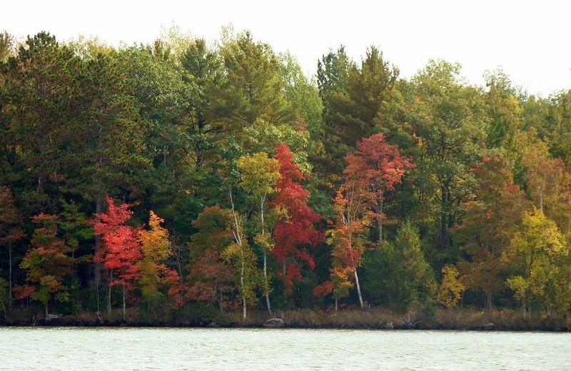 Fall at Northland Lodge.