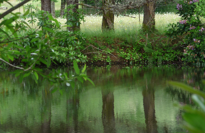 River view at Powder Creek Ranch.