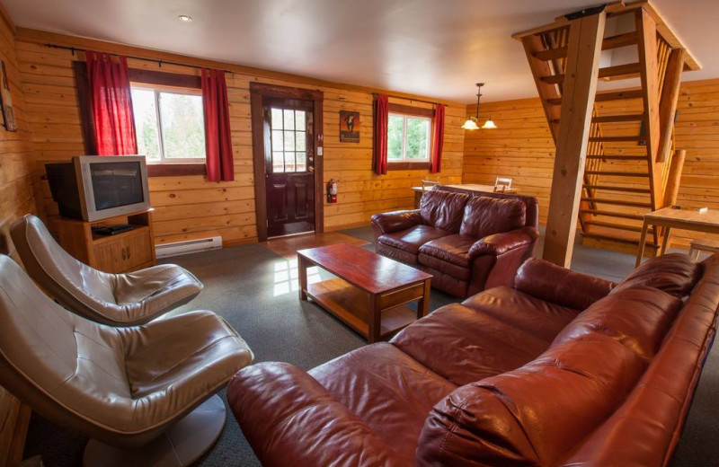 Cabin living room at Glacier House Resort.