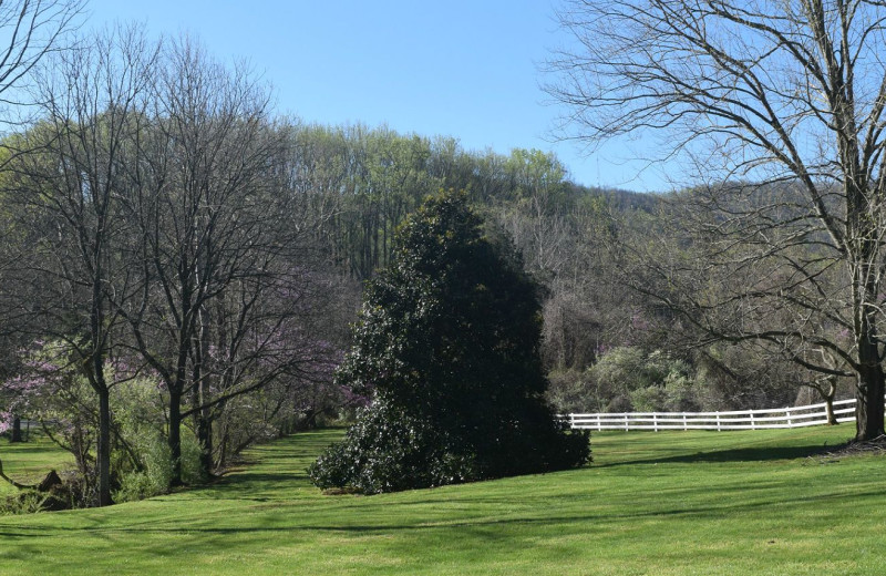 Grounds at Inn at Monticello.