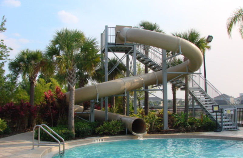 Resort pool at Florida Dream Management Company.