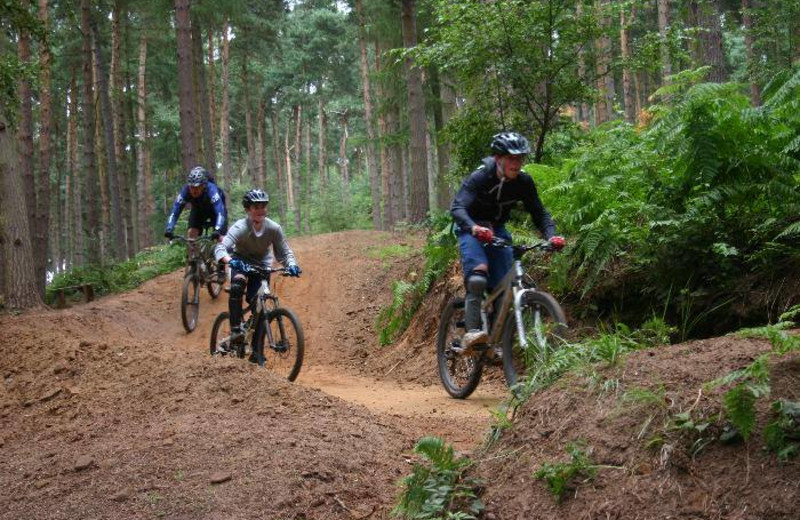 Bike rental at Clear Lake Resort.