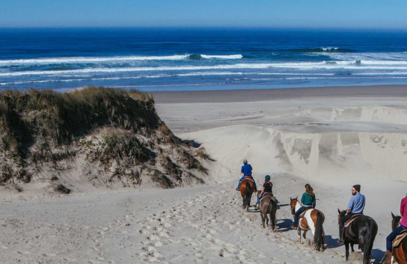 Horseback ride on the beach at Driftwood Shores Resort and Conference Center.