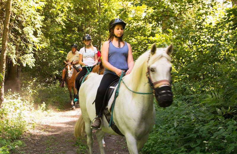 Horseback riding at Elmhirst's Resort.