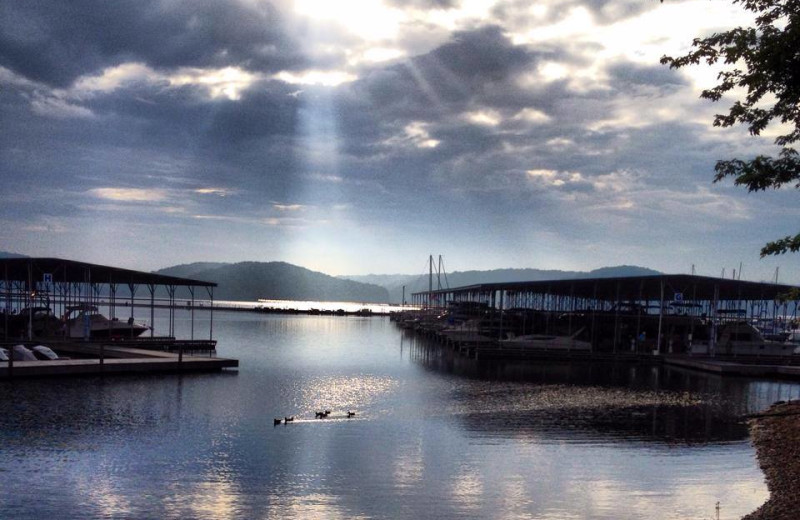 Docks at Fourwinds Resort & Marina.