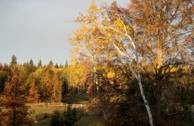 Suite View at Siwash Lake Ranch