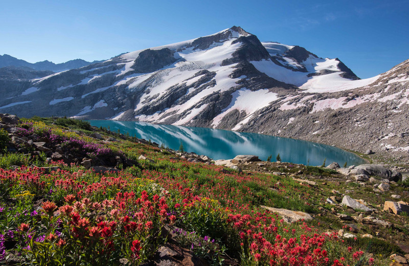 Summer at Bugaboos Lodge.