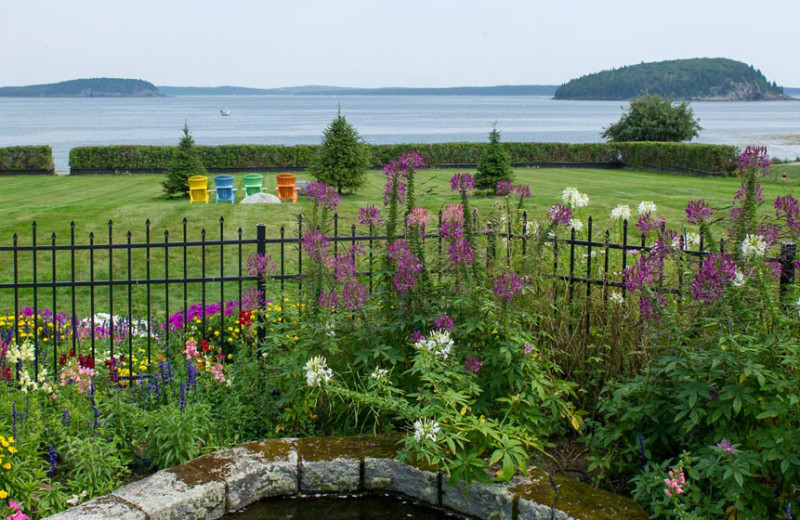 View from Balance Rock Inn.